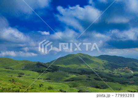 大平山山頂からのカルスト地形 大平山山頂からのカルスト地形 77993203