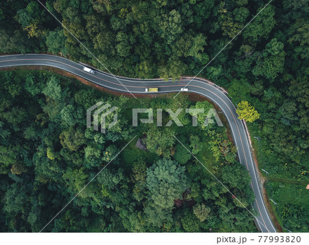 Green road up the mountain in the rainy season 77993820