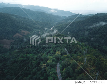Green road up the mountain in the rainy season Green road up the mountain in the rainy season 77993826