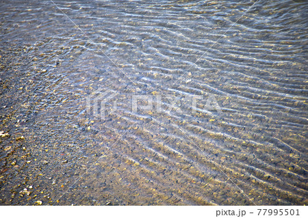 小さな川波と底に透ける小石 77995501