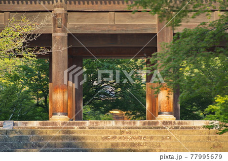 京都南禅寺の新緑 77995679