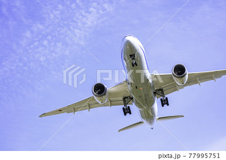 着陸する飛行機  ボーイング787 77995751