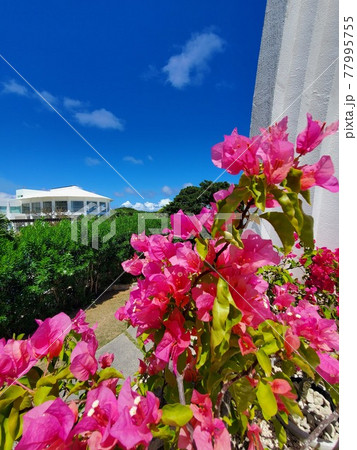 沖縄 石垣島 真栄里ビーチの風景 77995755