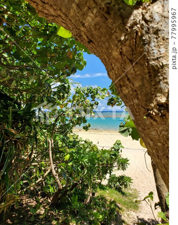 沖縄 石垣島　真栄里ビーチの景色 77995967