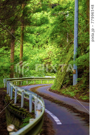 山奥の道 山奥の道 77996548