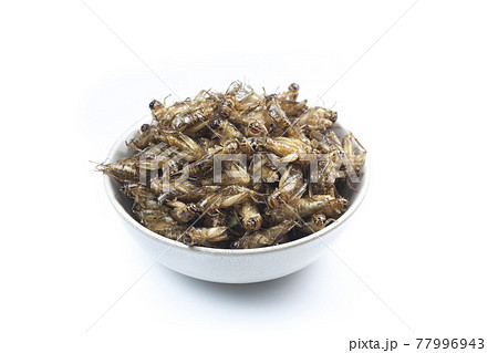 Fried crickets is the food in thai. 77996943