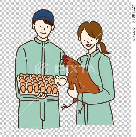 Agricultural girls, livestock girls, poultry farming women, illustrations Agricultural girls, livestock girls, poultry farming women, illustrations 77997224