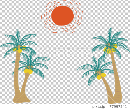Retro illustration of palm tree and sun 77997341