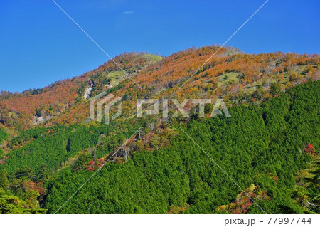 太尾登山口からの釈迦ヶ岳の紅葉 77997744