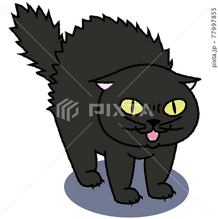 毛を逆立てて威嚇する黒猫のイラスト素材