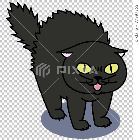 A black cat that intimidates with its hair turned upside down 77997855
