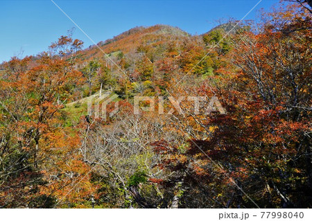 釈迦ヶ岳の紅葉 釈迦ヶ岳の紅葉 77998040