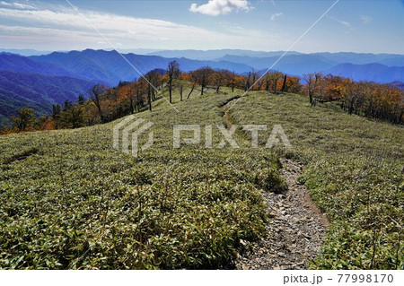 釈迦ヶ岳の登山道の草原と大峯奥崖道の稜線 釈迦ヶ岳の登山道の草原と大峯奥崖道の稜線 77998170