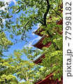 お寺の塔と新緑の空 77998182