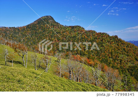 紅葉の釈迦ヶ岳への登山道と草原 77998345