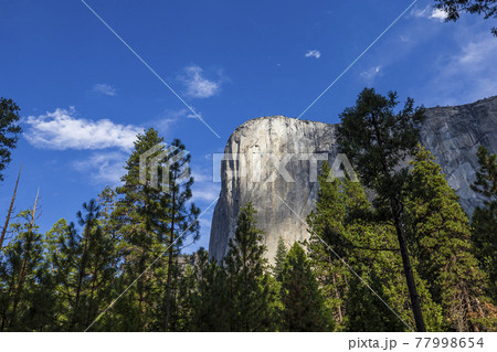 El Capitan, Yosemite national park El Capitan, Yosemite national park 77998654