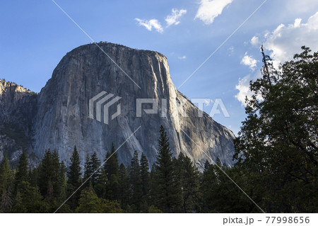 El Capitan, Yosemite national park El Capitan, Yosemite national park 77998656
