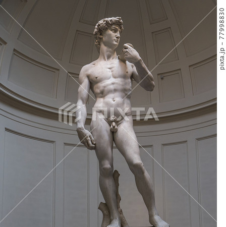 Michelangelo David statue in Accademia, - Stock Photo [77998830