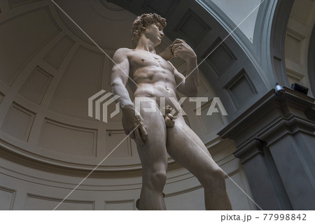 Michelangelo David statue in Accademia, Florence, Italy Michelangelo David statue in Accademia, Florence, Italy 77998842