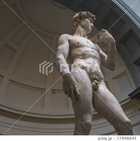 Michelangelo David statue in Accademia, Florence, Italy Michelangelo David statue in Accademia, Florence, Italy 77998844