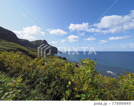 北海道礼文島 桃台猫台展望台・猫岩方面 / Rebun Island, Hokkaido 北海道礼文島 桃台猫台展望台・猫岩方面 / Rebun Island, Hokkaido 77999949