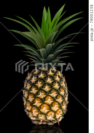 One whole pineapple with green leaves isolated on white background with clipping paths. One whole pineapple with green leaves isolated on white background with clipping paths. 78001238