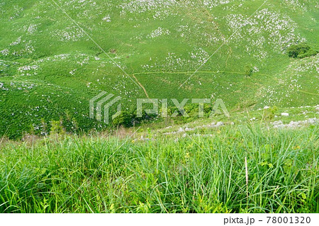 秋吉台国定公園・帰水 78001320