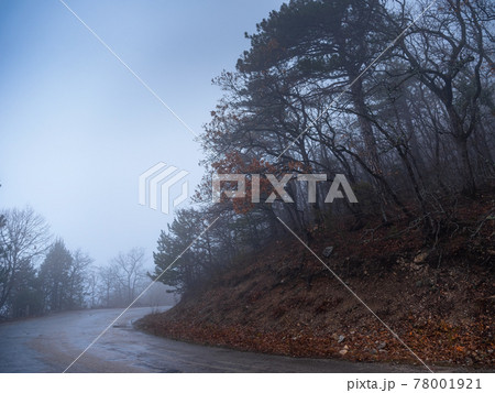 the morning autumn forest road in the fog the morning autumn forest road in the fog 78001921