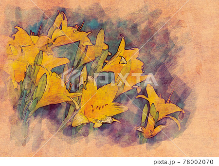 Yellow lily flowers digital art Yellow lily flowers digital art 78002070
