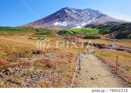 北海道　草紅葉と旭岳 78002328