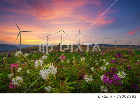 Windmill farm for electricity production. Wind power turbines generating clean renewable energy for sustainable development Windmill farm for electricity production. Wind power turbines generating clean renewable energy for sustainable development 78003592