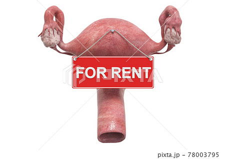 Surrogacy concept. Female uterus with For Rent hanging sign, 3D rendering 78003795