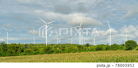 Wind turbines or windmills farm field in industry factory. Power, sustainable green clean energy, and environment concept. Nature innovation. 78003952
