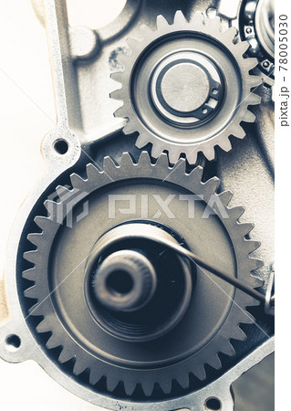 engine gears wheels, closeup view 78005030