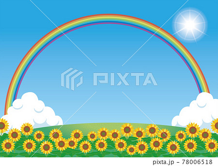 夏のイメージのイラスト自然背景素材 向日葵ヒマワリ畑と青空と白い雲と大きな虹レインボーのイラスト素材