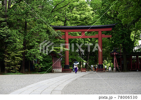 （神社の風景）鎮守の杜と参道とお社の風景：大宮氷川様 78006530