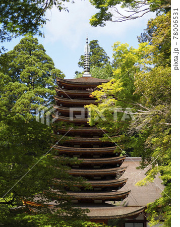 新緑の中の談山神社十三重の塔 78006531