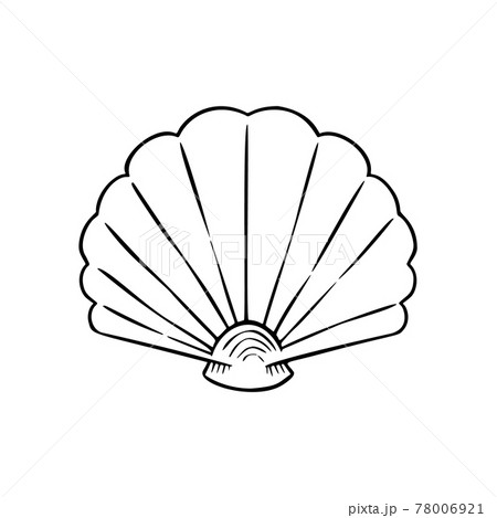 Seashell Thin Line Icon Animal And Underwater のイラスト素材
