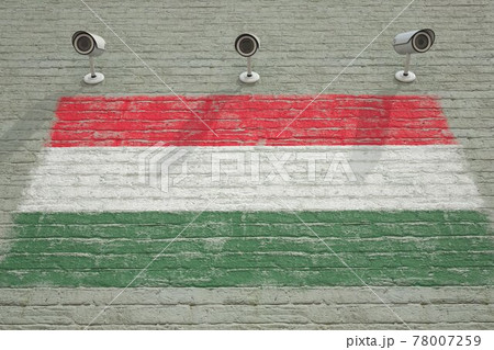 Surveillance cameras and wall with printed flag of Hungary. National security system concept. 3D rendering 78007259