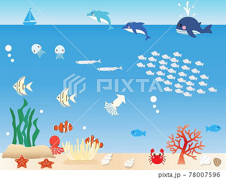 海の生物がたくさんいる海中をイメージしたイラストのイラスト素材