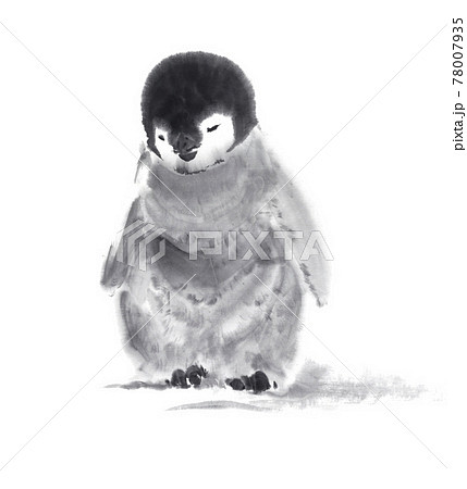 皇帝ペンギンの雛 水墨画イラストのイラスト素材