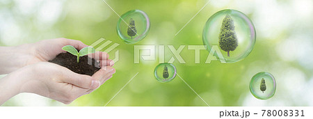 小さな芽を大切に育てることで、森が育つ。(小さなものが大きく育つ、森林保全、環境保全などのイメージ) 小さな芽を大切に育てることで、森が育つ。(小さなものが大きく育つ、森林保全、環境保全などのイメージ) 78008331