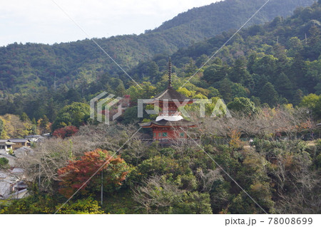 広島県 廿日市市 宮島町 あせび歩道から見た多宝塔 広島県 廿日市市 宮島町 あせび歩道から見た多宝塔 78008699