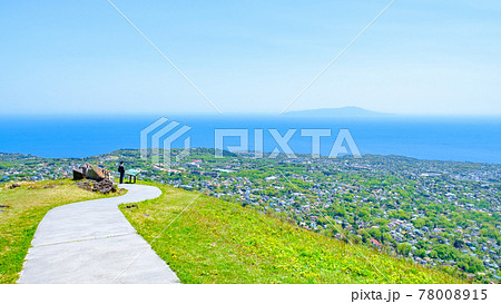 伊豆・大室山の風景（春）：相模灘を望む 78008915