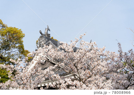 【愛知県】 田原城跡 【愛知県】 田原城跡 78008966
