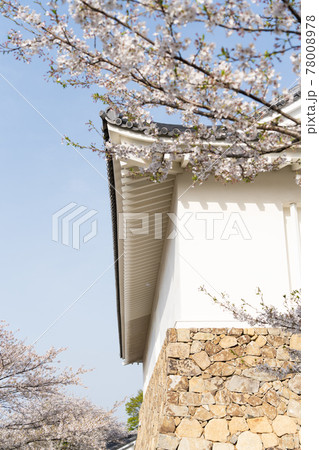 【愛知県】　田原城跡 78008978