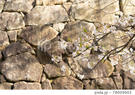 【愛知県】　田原城跡 78009003