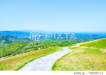 伊豆・大室山の風景(春):相模灘を望む 伊豆・大室山の風景(春):相模灘を望む 78009113