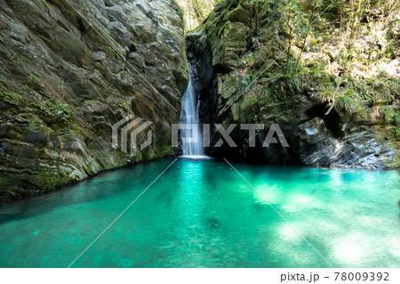 日差しが滝壺を照らしエメラルドグリーンに輝く水 78009392