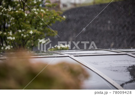 早梅雨の風景 早梅雨の風景 78009428